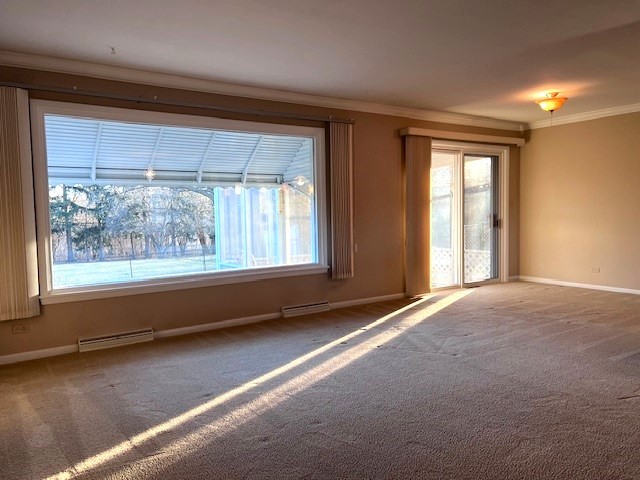 carpeted empty room featuring ornamental molding and a wealth of natural light