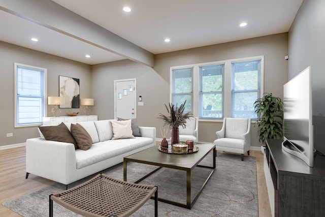 living room with light hardwood / wood-style floors