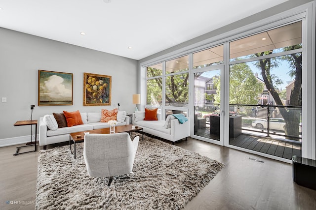 living room featuring hardwood / wood-style flooring