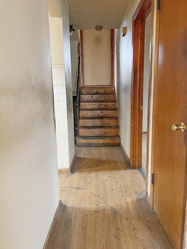 staircase featuring hardwood / wood-style flooring