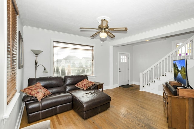 living room with hardwood / wood-style flooring, crown molding, and ceiling fan