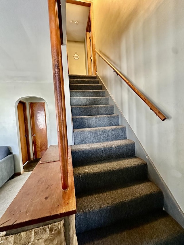 staircase with carpet floors