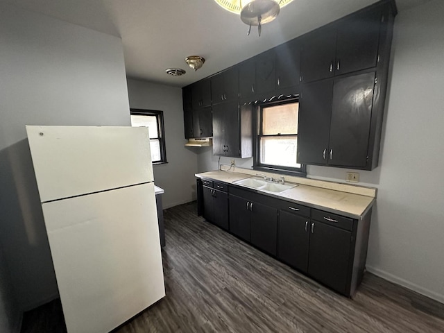 kitchen featuring sink, dark hardwood / wood-style floors, and white fridge