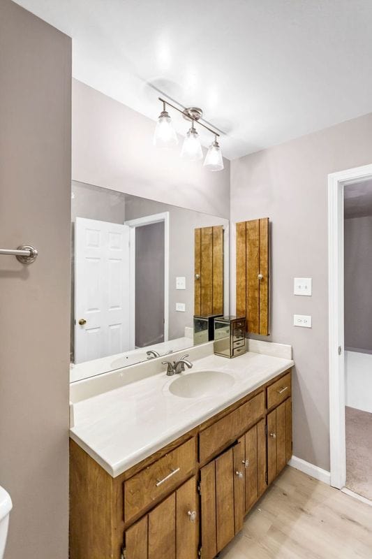 bathroom with vanity and wood-type flooring