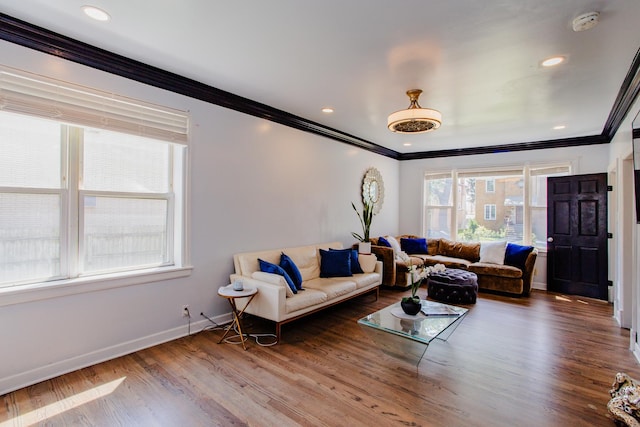 living room featuring crown molding and hardwood / wood-style floors