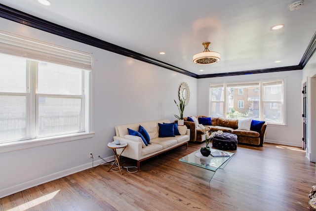 living room featuring crown molding and hardwood / wood-style floors