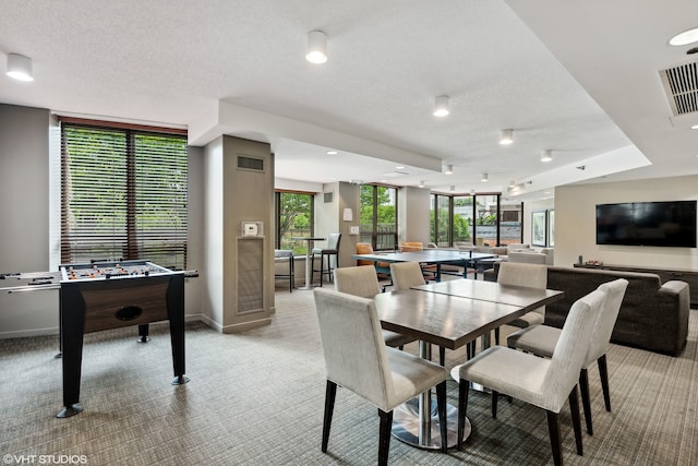 carpeted dining area featuring a wealth of natural light and a textured ceiling