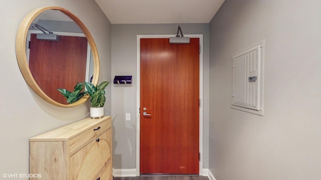 doorway with electric panel and dark hardwood / wood-style floors