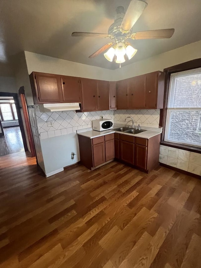 kitchen featuring ceiling fan, dark hardwood / wood-style floors, sink, and backsplash