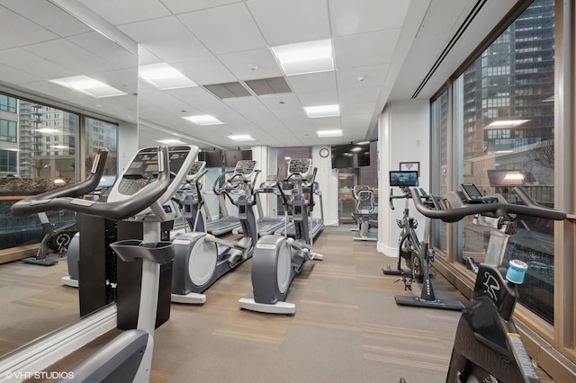 gym with a paneled ceiling and light carpet