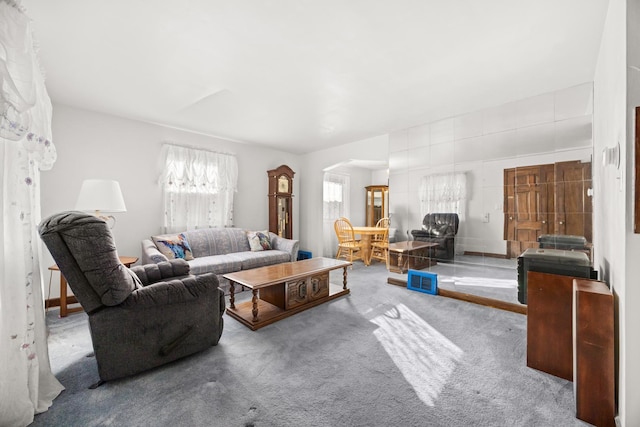 living room featuring carpet flooring