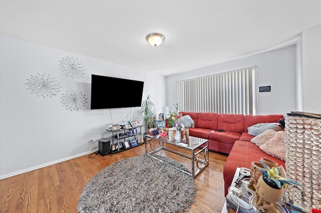 living room with wood-type flooring