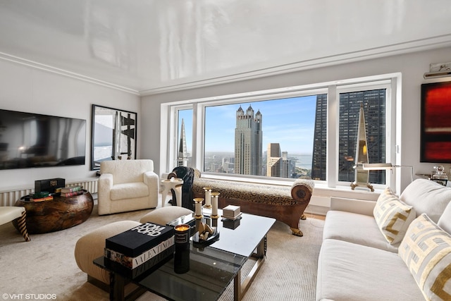 living room featuring carpet floors