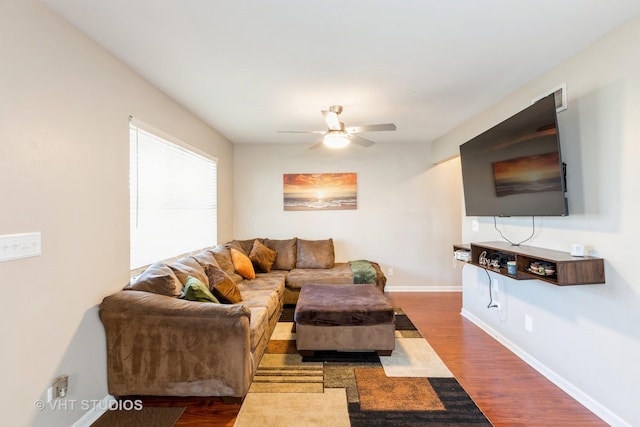 living room with ceiling fan and dark hardwood / wood-style flooring