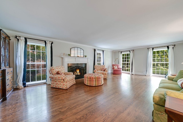 living room with crown molding, dark wood-type flooring, and a premium fireplace