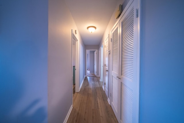 hallway with wood-type flooring