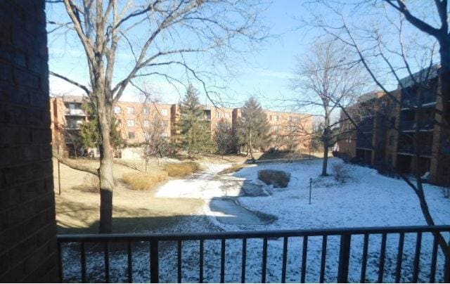 view of yard covered in snow