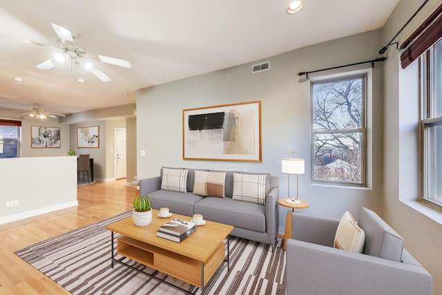 living room with ceiling fan and light wood-type flooring