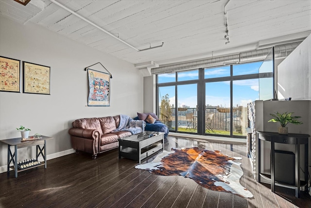 living room with wood-type flooring and rail lighting