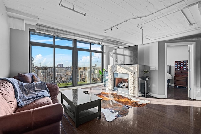 living room featuring wood-type flooring, a stone fireplace, and rail lighting