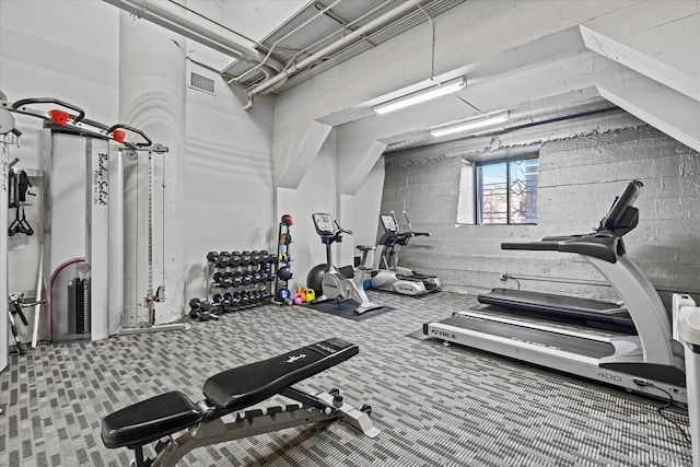 workout area with carpet