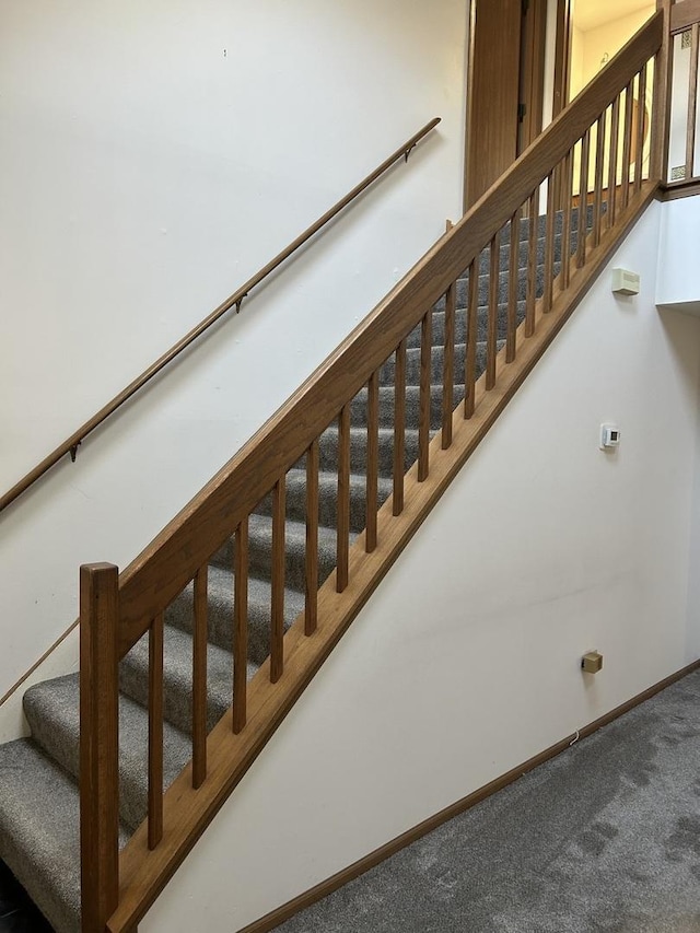 stairway featuring carpet flooring