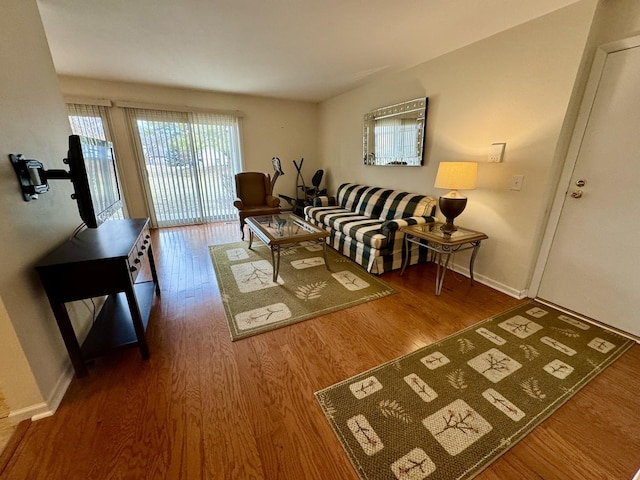 living room with wood-type flooring