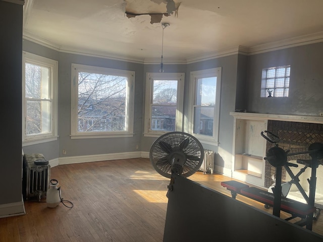 dining space with hardwood / wood-style floors, crown molding, and radiator heating unit