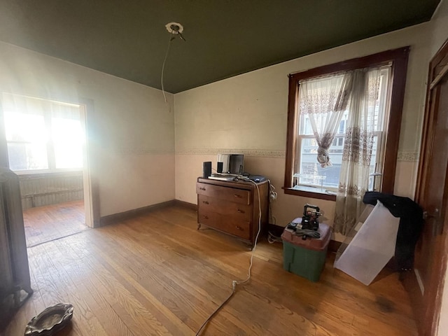 interior space featuring a healthy amount of sunlight and hardwood / wood-style floors