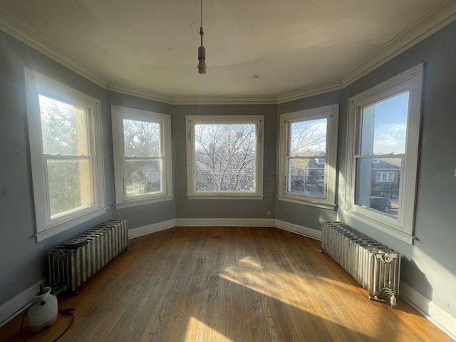 unfurnished sunroom with radiator