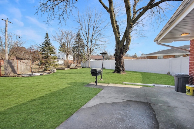 view of yard featuring a patio