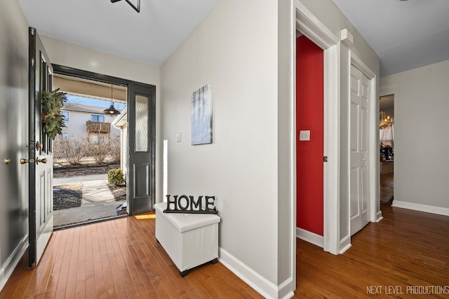 foyer entrance featuring wood-type flooring