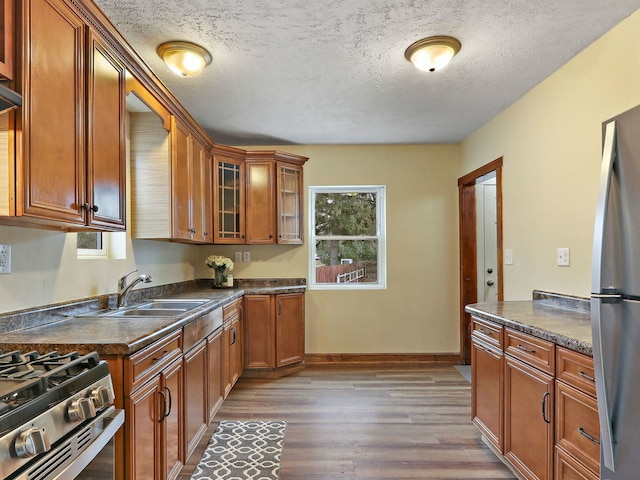 kitchen with appliances with stainless steel finishes, sink, a wealth of natural light, and dark hardwood / wood-style flooring