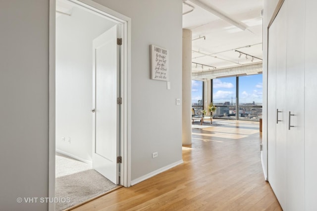 hallway featuring hardwood / wood-style flooring, track lighting, and a wall of windows