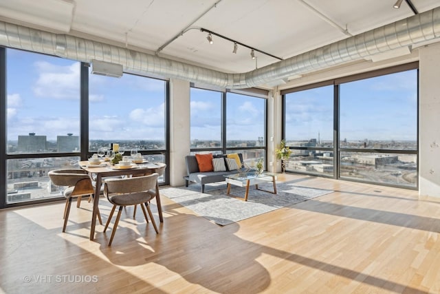 sunroom with track lighting