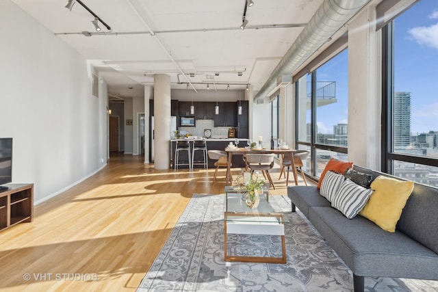 living room featuring rail lighting and hardwood / wood-style floors