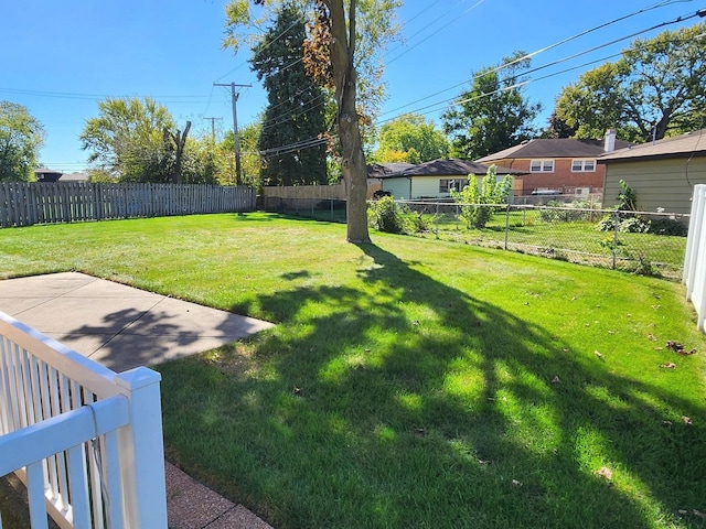 view of yard featuring a patio