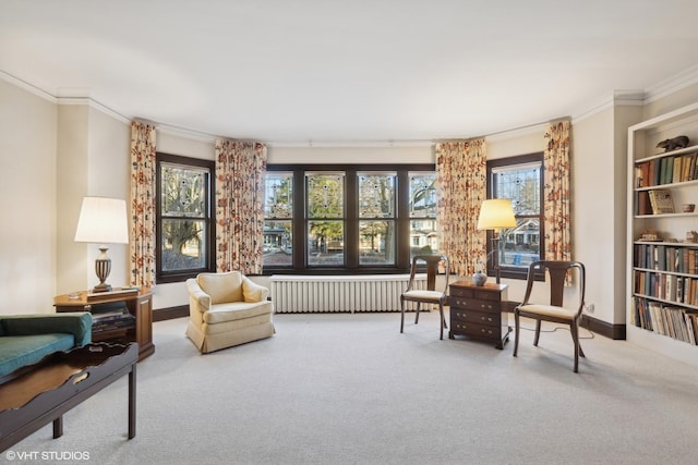 living area with ornamental molding, plenty of natural light, radiator, and carpet flooring