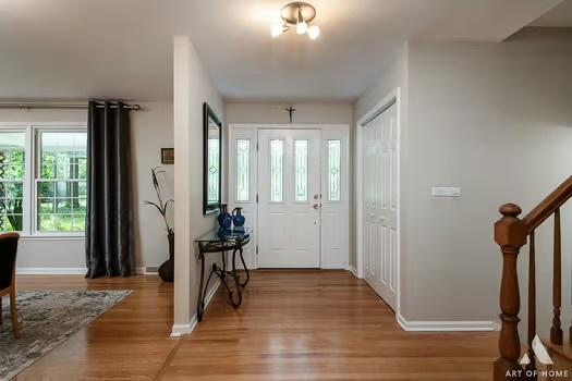 entryway featuring wood-type flooring