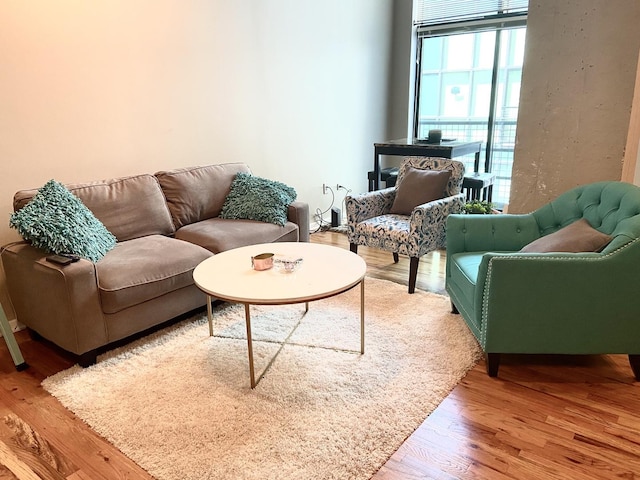 living room with hardwood / wood-style flooring