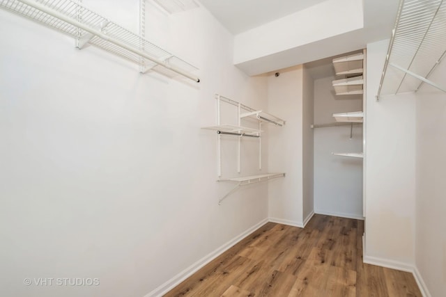 spacious closet with hardwood / wood-style flooring