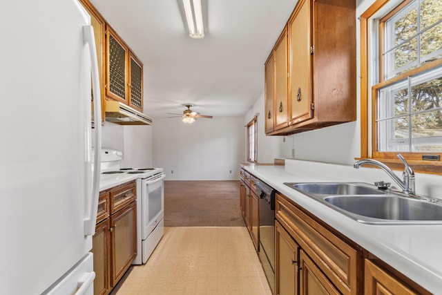 kitchen featuring white appliances, brown cabinetry, ceiling fan, a sink, and light countertops