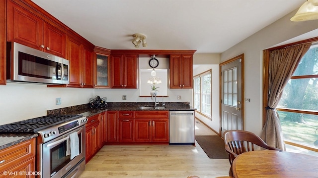 kitchen with a sink, stainless steel appliances, light wood finished floors, glass insert cabinets, and dark brown cabinets