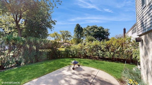 view of yard with a patio