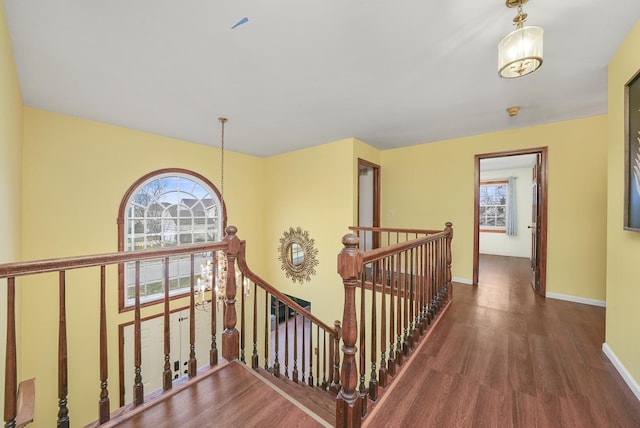 corridor featuring dark hardwood / wood-style flooring