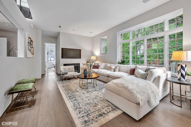 living room with wood-type flooring