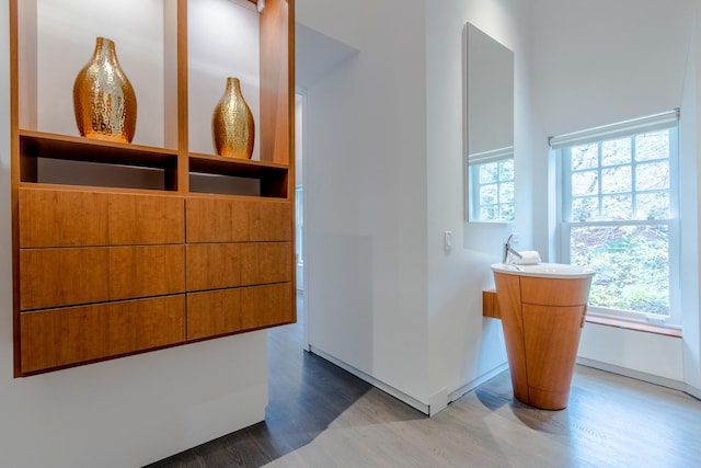 bathroom with hardwood / wood-style floors and plenty of natural light