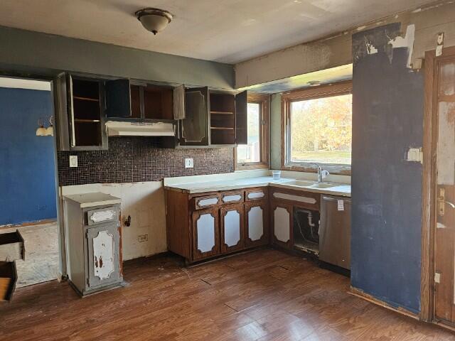 kitchen with tasteful backsplash, sink, dark hardwood / wood-style floors, and dishwasher