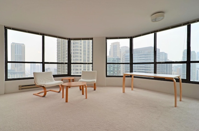 living area featuring carpet