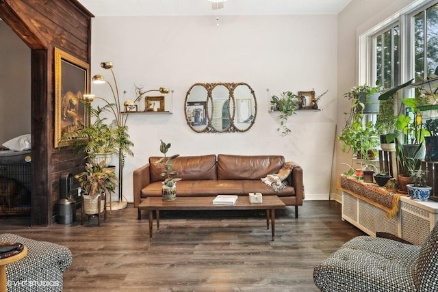 living room featuring dark hardwood / wood-style floors